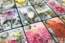 Load image into Gallery viewer, Floriferous: Pocket Edition + Expansion Bundle