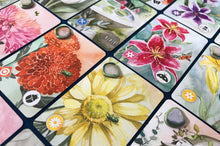 Load image into Gallery viewer, Floriferous: Pocket Edition + Expansion Bundle