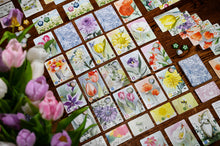 Load image into Gallery viewer, Floriferous + Expansion Bundle