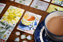 Load image into Gallery viewer, Floriferous + Expansion Bundle