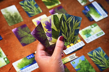 Load image into Gallery viewer, Herbaceous: Pocket Edition + Expansion Bundle