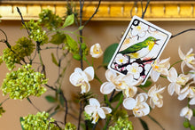 Load image into Gallery viewer, Hanafuda Large-Format Edition Deck PREORDER